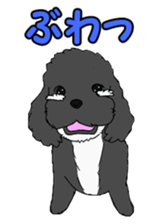 Speaking mix dog name is SASUKE sticker #10661462