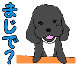 Speaking mix dog name is SASUKE sticker #10661464