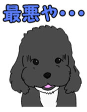Speaking mix dog name is SASUKE sticker #10661470