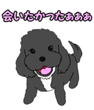 Speaking mix dog name is SASUKE sticker #10661473
