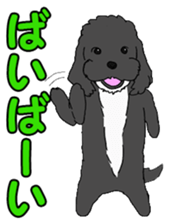 Speaking mix dog name is SASUKE sticker #10661474