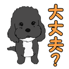 Speaking mix dog name is SASUKE sticker #10661478