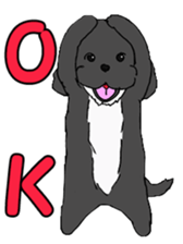 Speaking mix dog name is SASUKE sticker #10661479