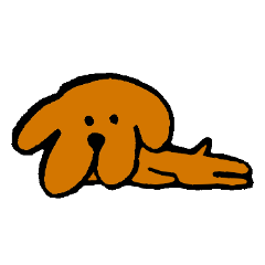 Wonderful dog "Kai"3