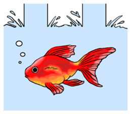 PushPushPushPushPushPushPushPushPush sticker #10663488