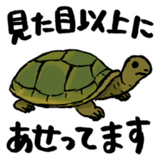 Animals tweet sticker #10663572