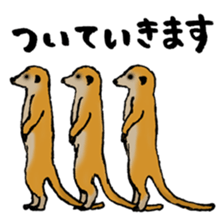 Animals tweet sticker #10663577