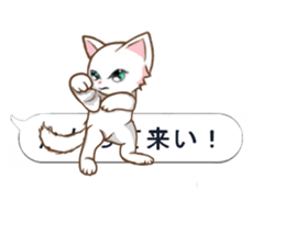 Sticker of the balloon text hide kitten sticker #10664154