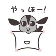 Honwaka Sugar glider of Momo-chan sticker #10664321