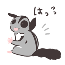 Honwaka Sugar glider of Momo-chan sticker #10664323