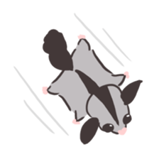 Honwaka Sugar glider of Momo-chan sticker #10664327