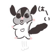 Honwaka Sugar glider of Momo-chan sticker #10664328