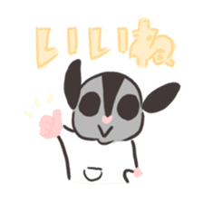 Honwaka Sugar glider of Momo-chan sticker #10664337