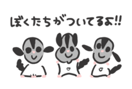 Honwaka Sugar glider of Momo-chan sticker #10664340