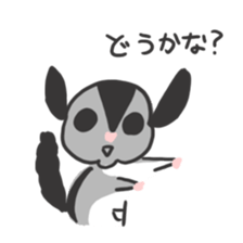 Honwaka Sugar glider of Momo-chan sticker #10664352