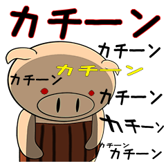 Bellyband pig2