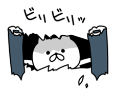 Cat coming out from the wallpaper sticker #10664684