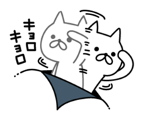 Cat coming out from the wallpaper sticker #10664712