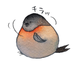 Play of funny birds sticker #10666455