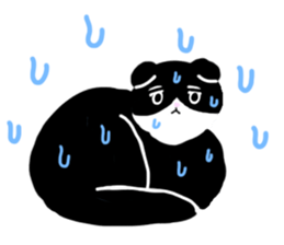 Zucco's white and black cat Sticker sticker #10671871