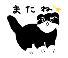 Zucco's white and black cat Sticker sticker #10671874