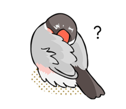 Negotiations sticker of Java sparrow sticker #10675264
