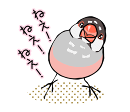 Negotiations sticker of Java sparrow sticker #10675265