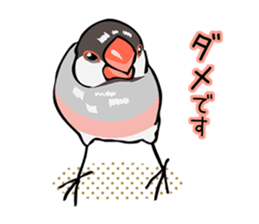 Negotiations sticker of Java sparrow sticker #10675267