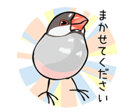 Negotiations sticker of Java sparrow sticker #10675268