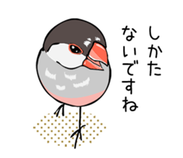 Negotiations sticker of Java sparrow sticker #10675270