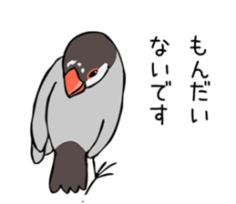 Negotiations sticker of Java sparrow sticker #10675271