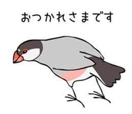 Negotiations sticker of Java sparrow sticker #10675273