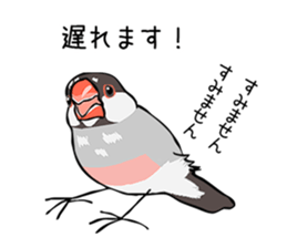 Negotiations sticker of Java sparrow sticker #10675276