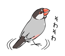 Negotiations sticker of Java sparrow sticker #10675278