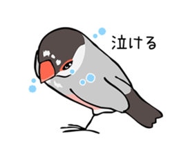 Negotiations sticker of Java sparrow sticker #10675279