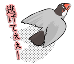 Negotiations sticker of Java sparrow sticker #10675280