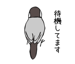 Negotiations sticker of Java sparrow sticker #10675281