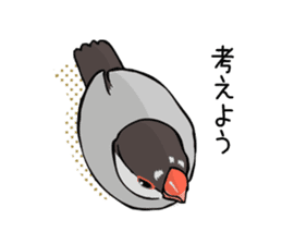 Negotiations sticker of Java sparrow sticker #10675283