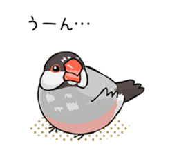 Negotiations sticker of Java sparrow sticker #10675284