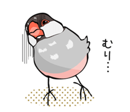 Negotiations sticker of Java sparrow sticker #10675285