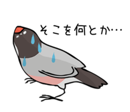 Negotiations sticker of Java sparrow sticker #10675287
