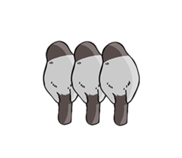 Negotiations sticker of Java sparrow sticker #10675288