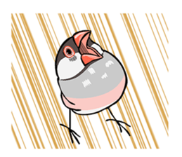 Negotiations sticker of Java sparrow sticker #10675290