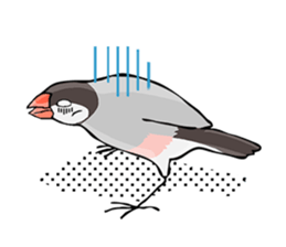 Negotiations sticker of Java sparrow sticker #10675291