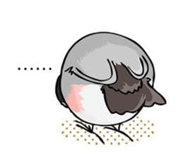 Negotiations sticker of Java sparrow sticker #10675292