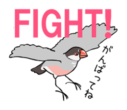 Negotiations sticker of Java sparrow sticker #10675294