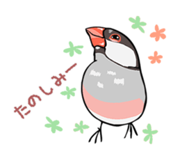 Negotiations sticker of Java sparrow sticker #10675295