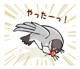 Negotiations sticker of Java sparrow sticker #10675296