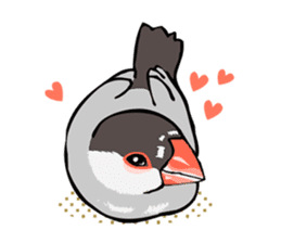 Negotiations sticker of Java sparrow sticker #10675299