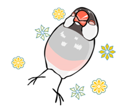 Negotiations sticker of Java sparrow sticker #10675300